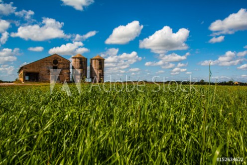 Picture of Il granaio